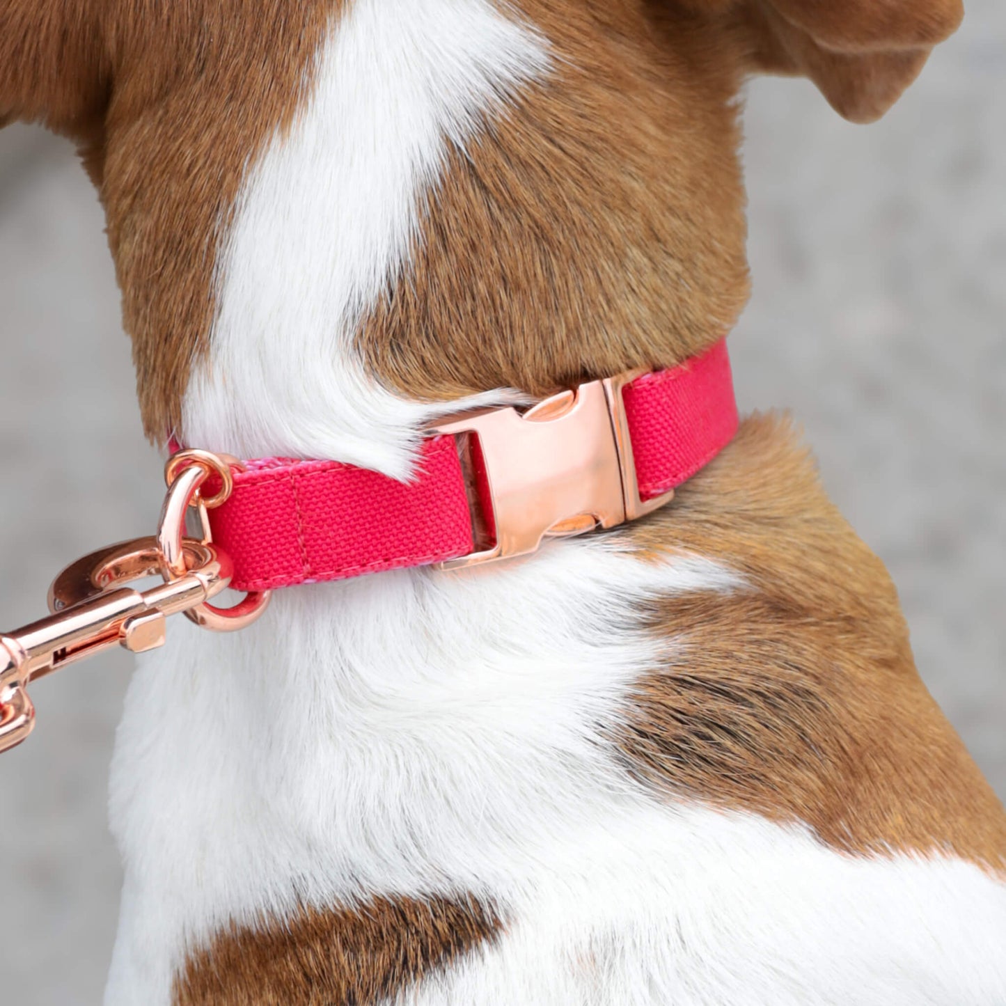 Efektna Hot pink ogrlica u jarko pink boji sa rosegold metalnim delovima na psu
