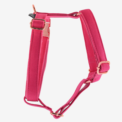 Marley and Co am za pse Hot pink am sa rose gold metalima