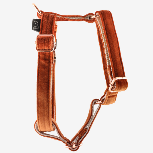 Marley and Co amber am za pse u narandžastoj pliš boji sa rose gold metalnim delovima
