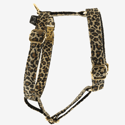 Marley and Co leopard dezen sa zlatim metalnim delovima safari u leopard printu