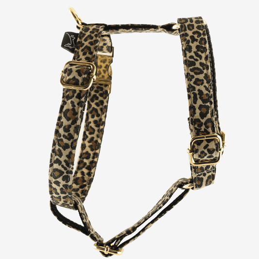 Marley and Co leopard dezen sa zlatim metalnim delovima safari u leopard printu