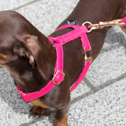 izbliza Hot pink am sa rosegold detaljima