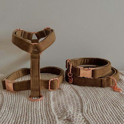 Mocca set koji sadrži am, ogrlicu i povodac za pse od somota u braon boji sa rosegold metalnim detaljima 
