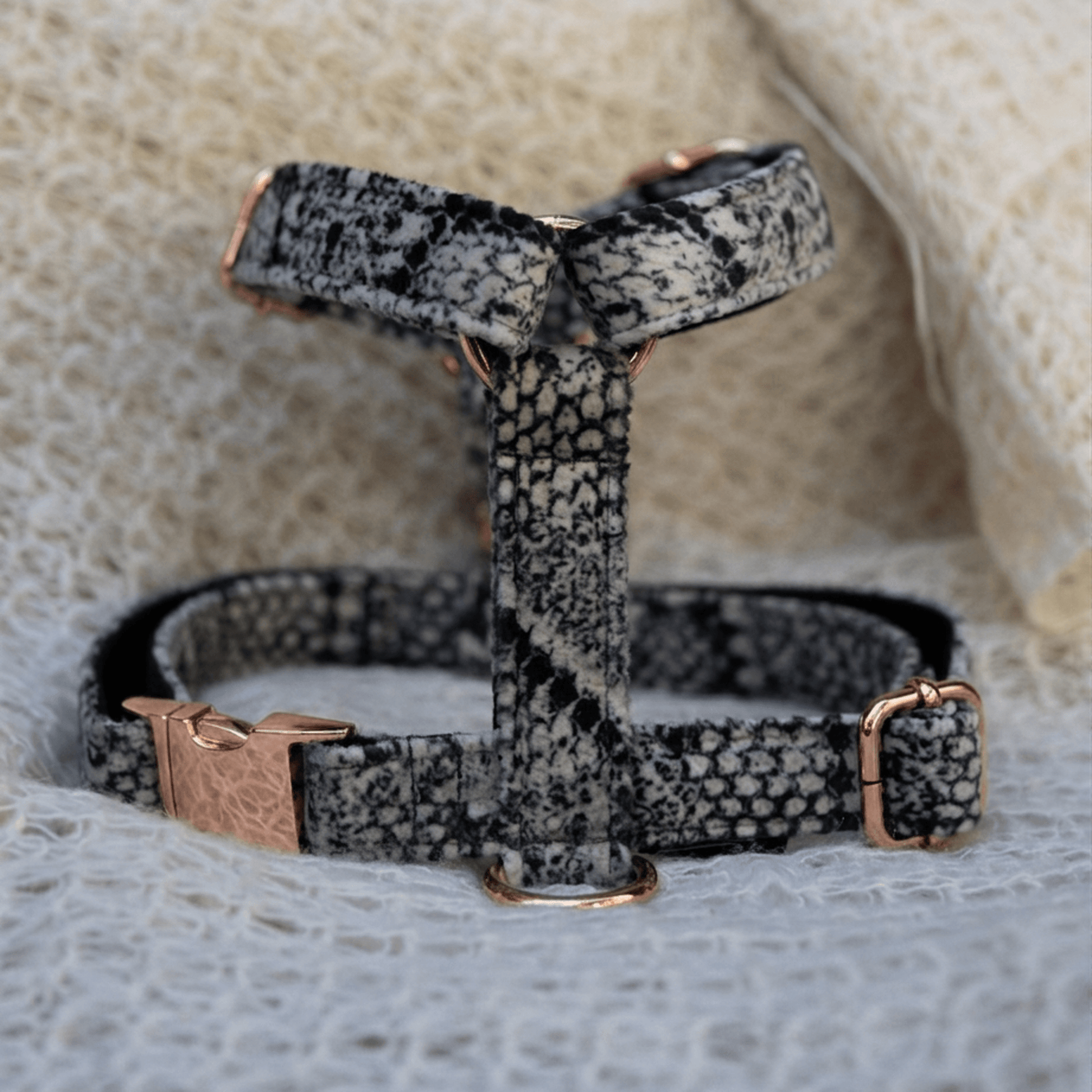 Am za pse Snake u animal zmijskom printu sa rosegold metalnim delovima na mekanoj tkanini
