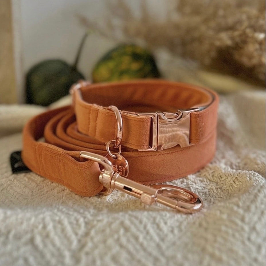 Ogrlica Orange od mekanog pliša u narandžastoj boji sa rosegold metalnim delovima