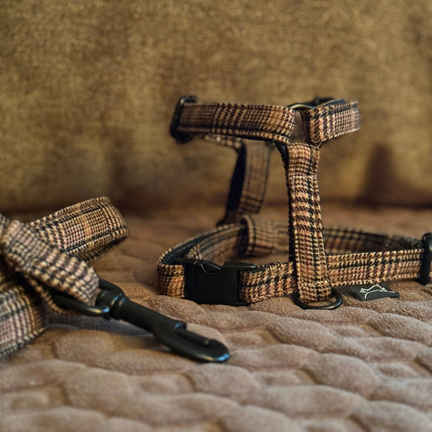 Marley&co braon karirani  Oxford am za pse sa crnim metalnim detaljima u lifestyle okruženju