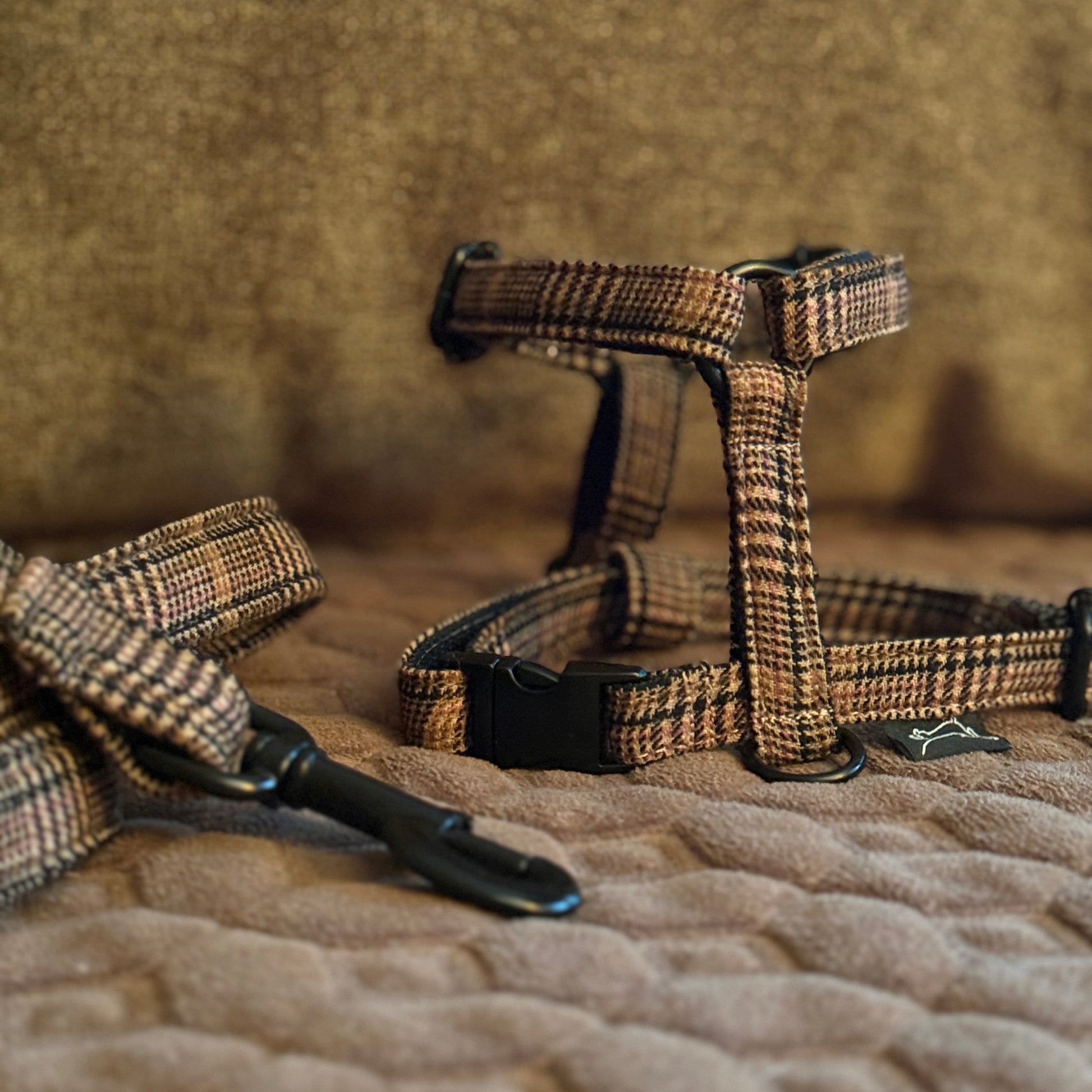 Marley&co braon karirani  Oxford am za pse sa crnim metalnim detaljima u lifestyle okruženju