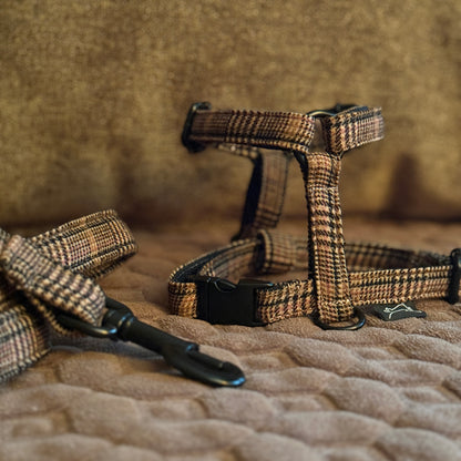 Marley&co braon karirani  Oxford am za pse sa crnim metalnim detaljima u lifestyle okruženju