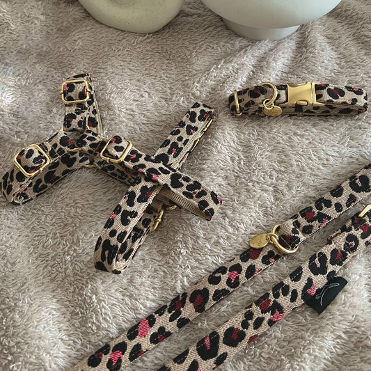 Marley&co Wild one set za pse sa leopard dezenom koji sadrži am, ogrlicu i povodac sa zlatnim metalnim detaljima